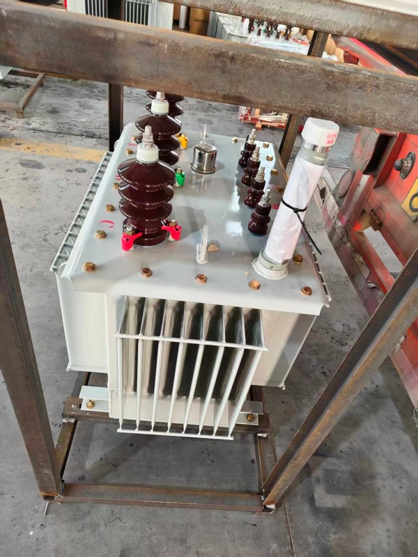 S13‑1000kVA 荔城荔城荔城油浸式变压器 大型厂区 S13 荔城荔城荔城油浸式变压器